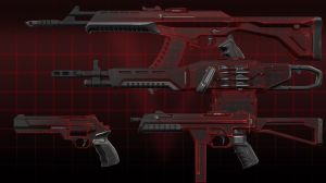 Valorant Schema Collection