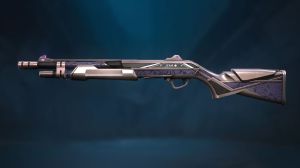 Valorant Spellbound Collection