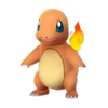 Charmander in Pokemon GO