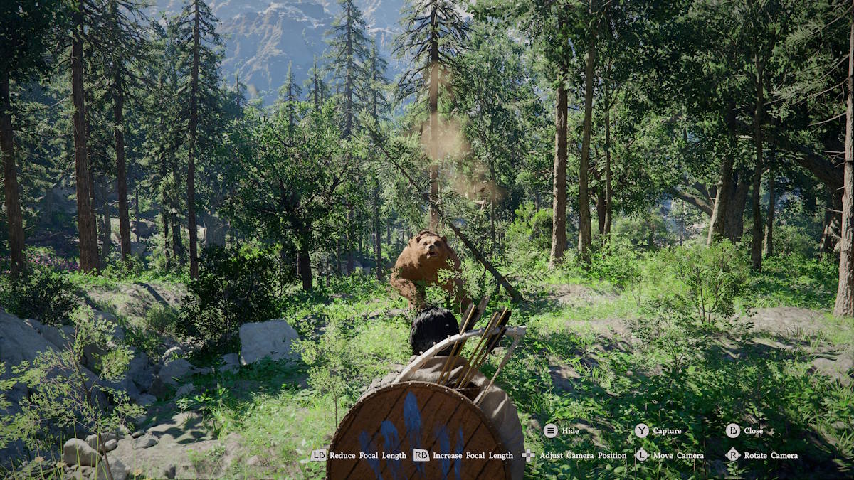 Bear attacks Kliff in Crimson Desert