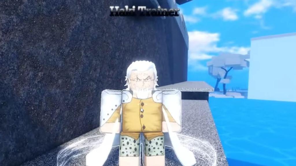 Haki Trainer NPC