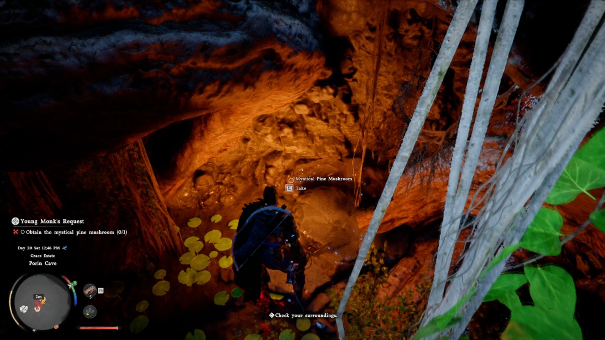 Mystical Pine Mushroom Crimson Desert location