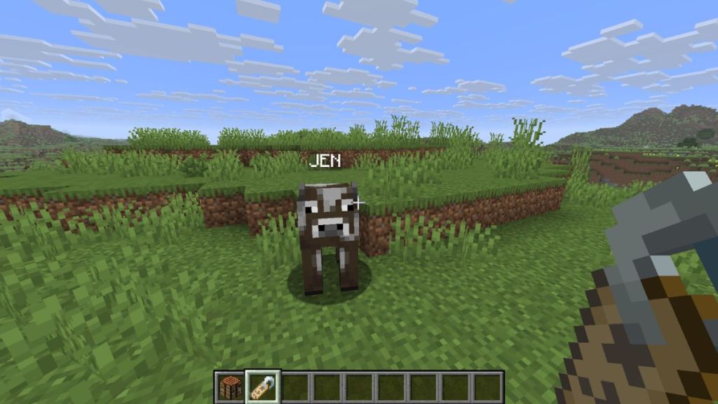 Nametag Uses and Mechanics in Minecraft