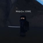 Ninja