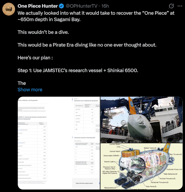 One Piece fans are getting a submarine