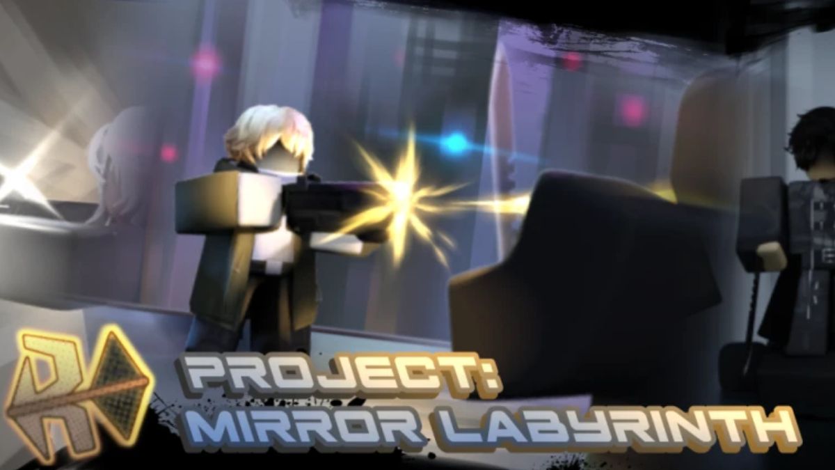 Project Mirror Labyrinth Codes