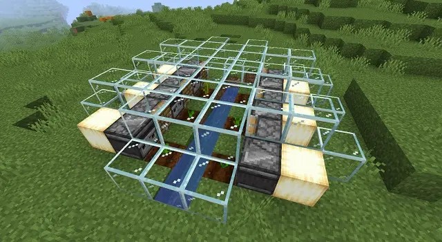 Pumpkin-Farm-in-Glass-Cage