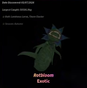 Rotbloom PReferences in Fisch