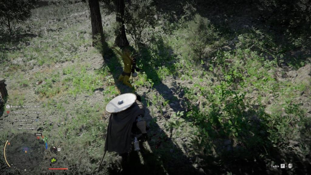 Tackle blix Crimson Desert