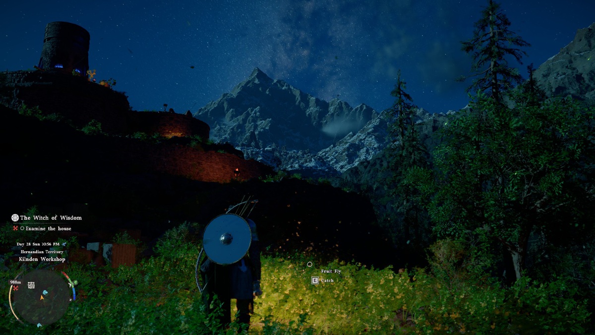 Crimson Desert Nighttime