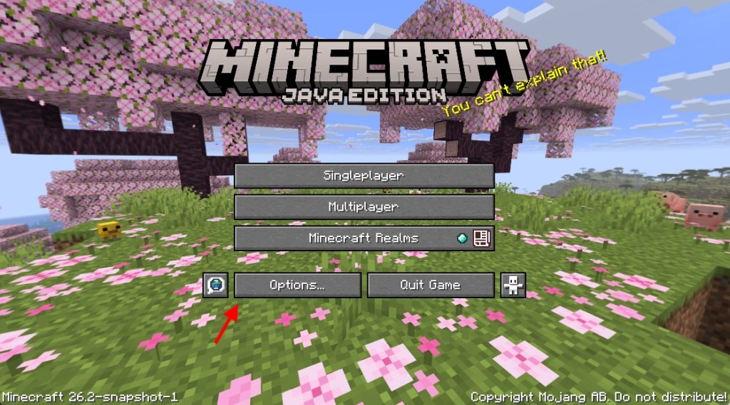 Go to Options in MInecraft