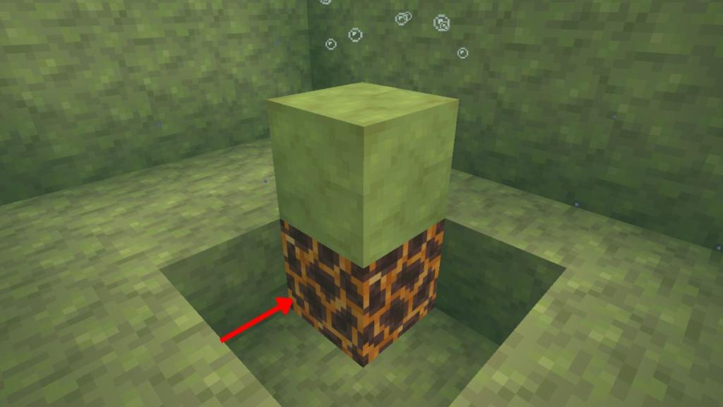 How to make a Geyser Work in Minecraft