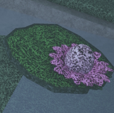 Lily Pad Egg