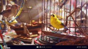 Arc Raiders Avian Alarm Project Guide