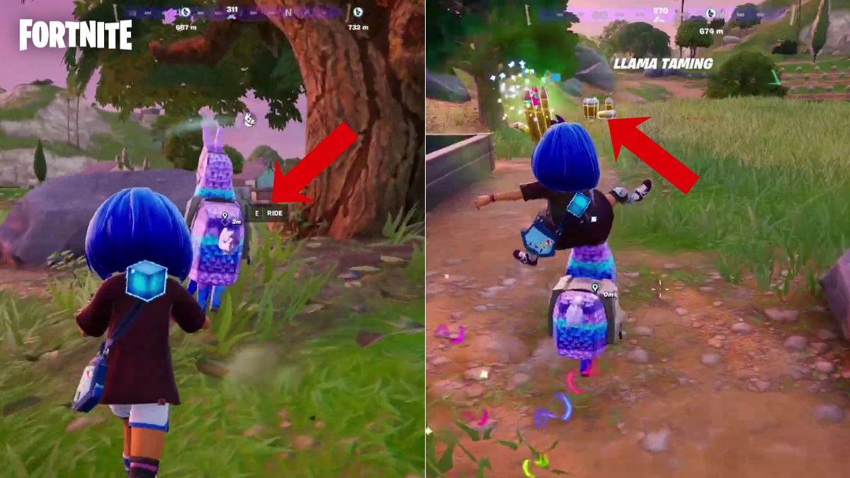 Fortnite Spotting and Riding a Llama