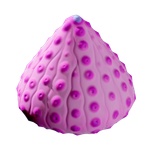 Aeroshell_Sponge
