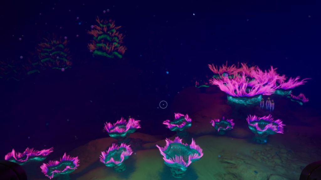 Anemone Hills