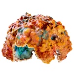 Coral_Dome