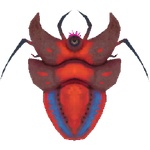 Crimson_Shrimp