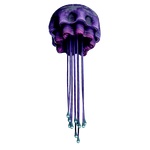 Dangling_Salp