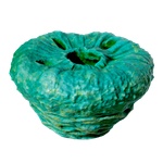 Donut_No_Worms