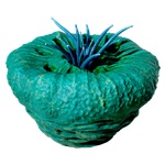 Donut_of_Worms