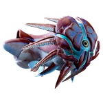 Hammerhead