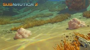 How to Find Salt in Subnautica 2