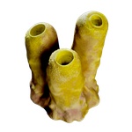 Jack_Sponge