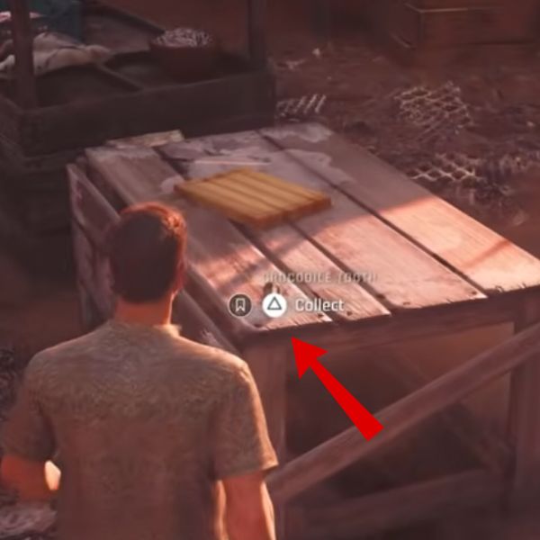 Memento 6 Crocodile Tooth