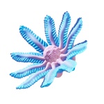 Necrolei_Cyst
