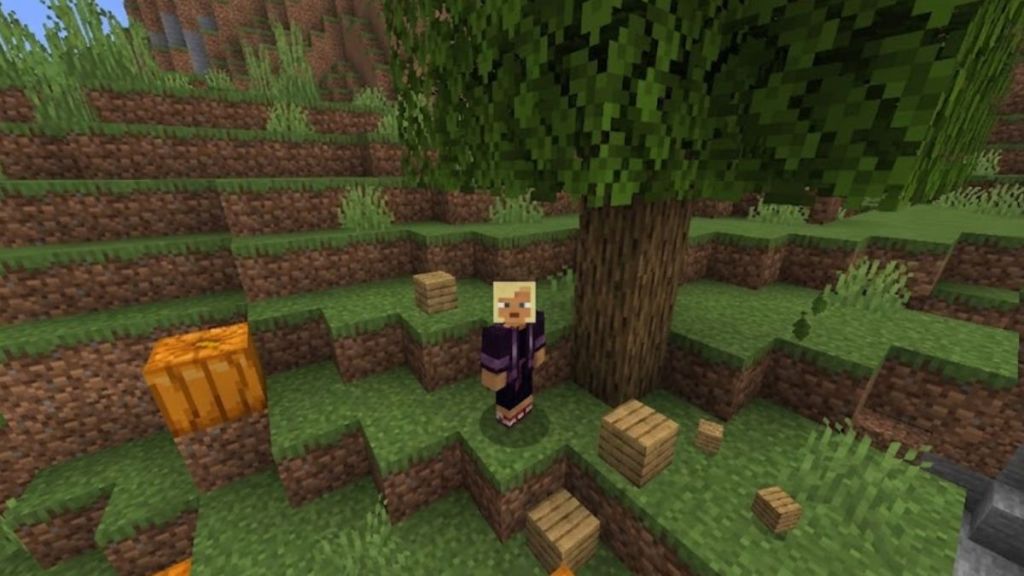 Punch Wood in Minecraft