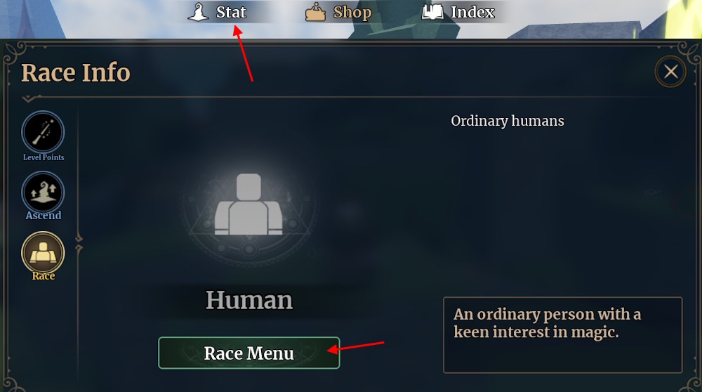 Race in player stat
