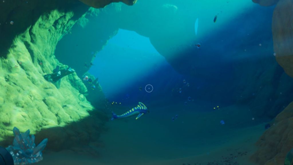 Shallows Caves