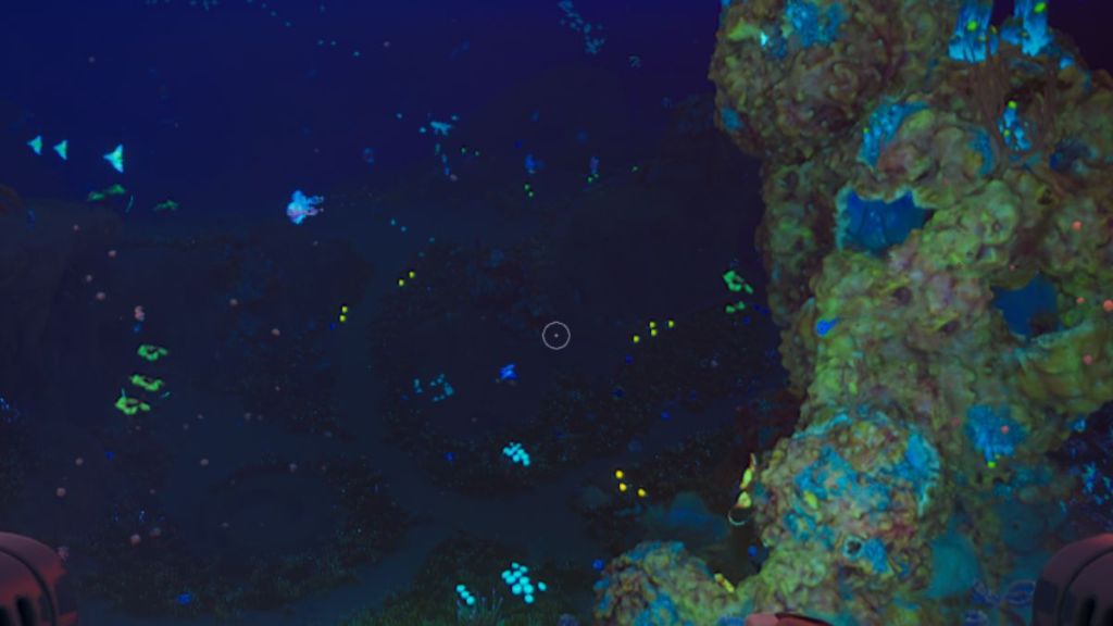 Shallows Subnautica 2 biome