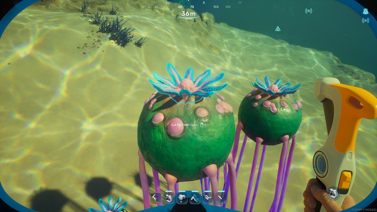 Subnautica 2 Quistes Necrolei