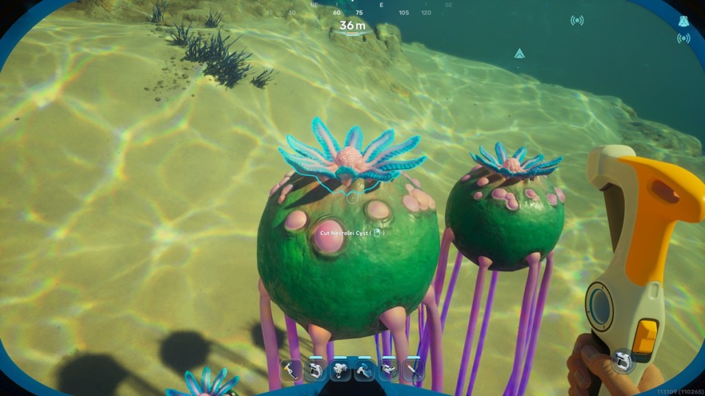 Subnautica 2 Necrolei Cysts