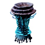 Tallshroom