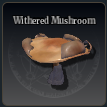 All Wizard Alchemy Materials and How to Get Them