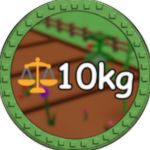 10kg Fruit!