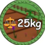 25kg Fruit!
