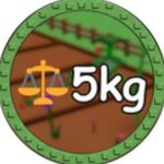 5kg Fruit!