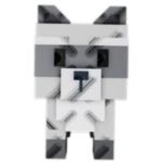 Raccoon