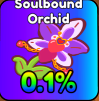 Build a Ring Farm Seeds Tier List (June 2026)