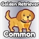 Build a Ring Farm Pets Tier List (June 2026)