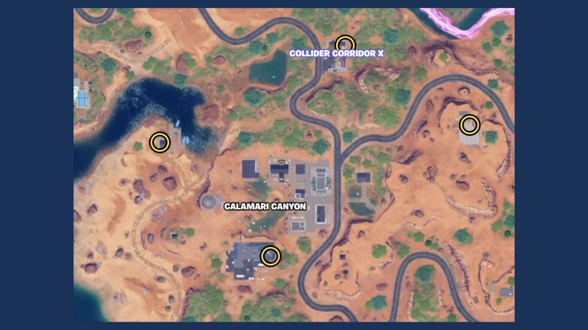 Stealth Cases Calamari Canyon Fortnite