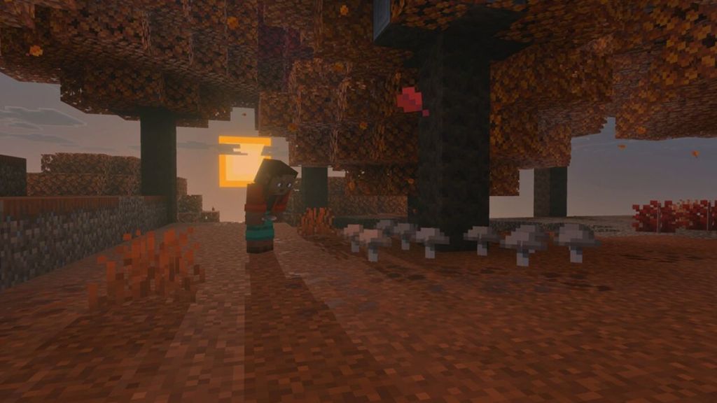 Dappled Forest Biome in Minecraft