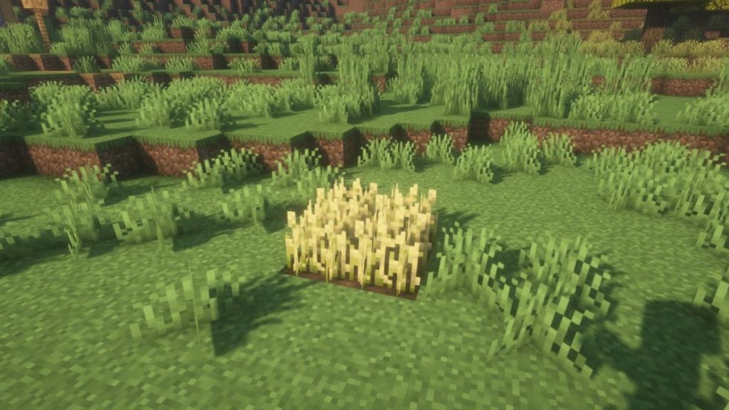 Get wheat in Minecraft