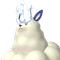 Kingpaca Cryst