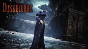 How to Join The Duskbloods Closed Network Test
